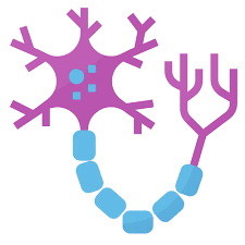 Category Image